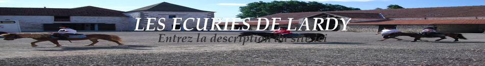 LES ECURIES DE LARDY